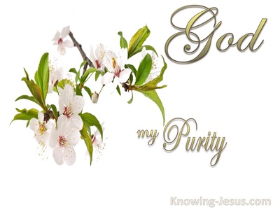 God, My Purity (devotional)03-06 (gold)